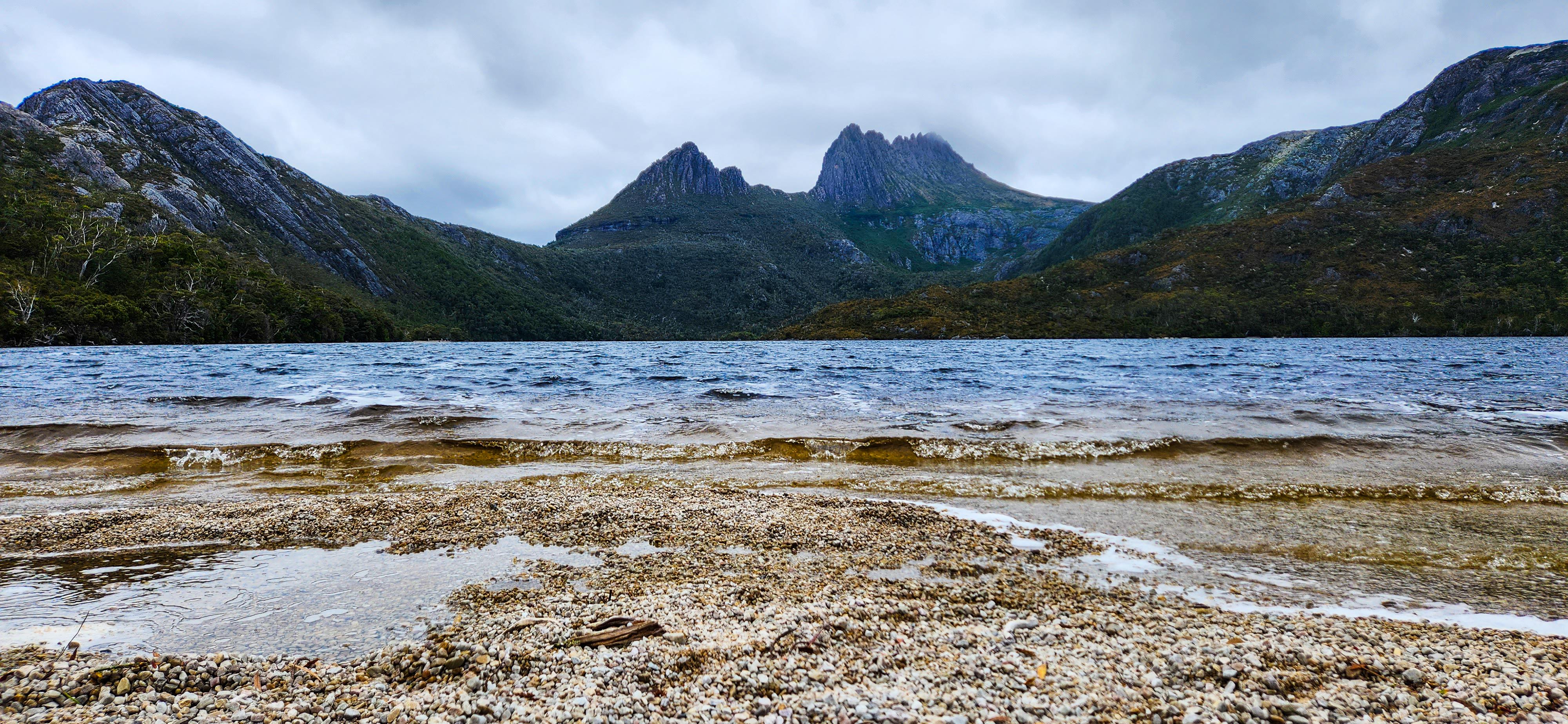 Dove Lake Shoreline